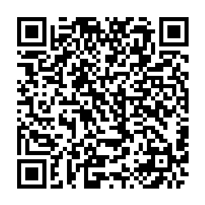 一直到陆为民很明确的表示蓝岛从去年开始就一直有很大的投入放在了滨海新区二维码生成