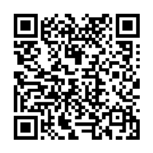 一直在注视着木莎的木萦瞬间就明白了木莎的意思二维码生成