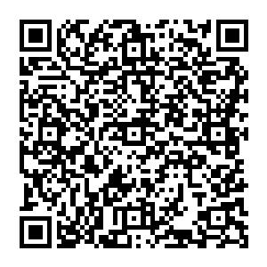 一直在远处盯着许紫烟行动的凌霄这个时候才明白许紫烟为什么要把准备要用的东西都揣在怀里二维码生成