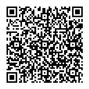 一直在问着为什么想来这他想来员外也是因为受不了这样的刺激一时之间难以接受吧贾培露这鸢尾二维码生成