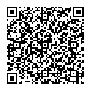 一直悄悄在远处负责暗中保护着张铁的刘响和张海潮在经过一片地下高大的藓类植物区的时候二维码生成