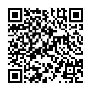 一直悬浮在我头顶的轮回之门闪耀起了璀璨的灰色光芒二维码生成