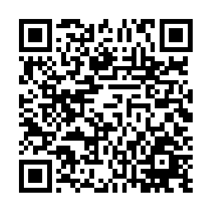 一直是喂别人狗粮的流墨墨只感觉自己被硬塞了一把狗粮二维码生成