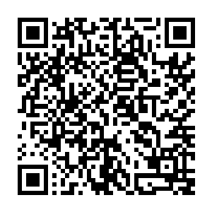 一直暗中关注着那些老人的流墨墨却是没有错过他们在听到管事仙人解说的时候二维码生成