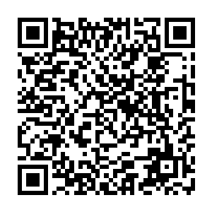 一直跟在秦宇身边听着秦宇和莫咏星互相斗嘴的翘翘在这时候却是开口了二维码生成