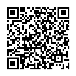 一直闭口不言的司徒家家主和天府门主也是心中暗笑一声二维码生成