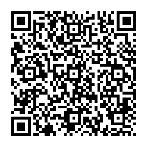 一看到有人过来里面的服务员立钱推开了门然后帮着贝海和卡森两人把箱子提上了行李车二维码生成