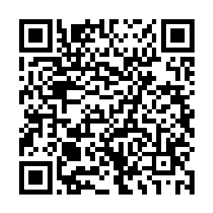 一眼便可以看出这里刚刚经过了一场极为了不得的大战二维码生成