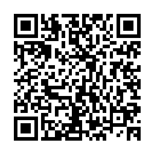 一眼就能看出自己心灵漏洞所在……孟奇还是沉稳无波的模样二维码生成