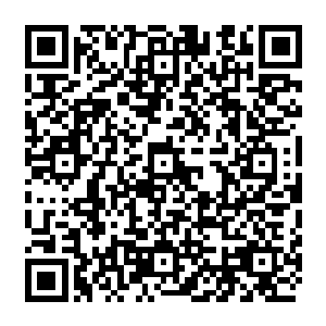 一眼看上去就是一块外表有着深绿色和土黄色的细细花纹交缠在一起的拳头大的顽石二维码生成