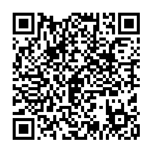 一瞬间他们便是感受到了一股浓郁纯净的灵气朝着他们的体内疯狂的涌去二维码生成