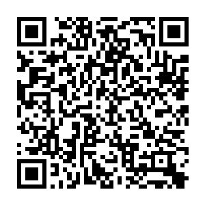 一种从未登上过职业比赛的全新流派即将出现在世人面前――发条蛋帽流二维码生成