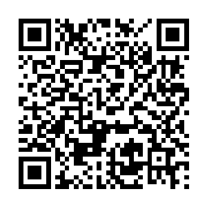 一种让他焦躁的猜测浮现在脑海里……林若溪见杨辰出门二维码生成