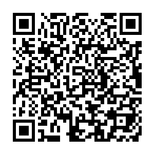 一簇簇更加细密的水晶像草原之上的野草一样在地面上旺盛的生长着二维码生成