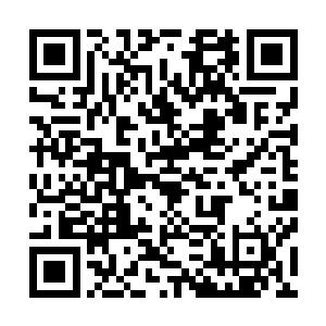 一纪一轮回　一轮回一生死　当毁灭万物　当重來头再來　二维码生成