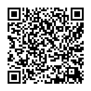 一缕缕极细好似牛毛的碧翠木之精气随着她本能的吸收被抽离出来二维码生成