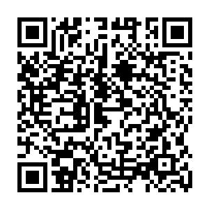 一缕缕细微不可见的气息顿时从被斩杀的中级低阶妖兽体内飞出被屠妖剑令吸收二维码生成