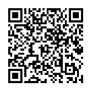 一缕缕细若发丝的神念飞快疏通着提取符阵滞碍的灵纹二维码生成