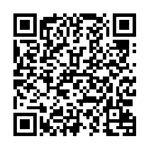 一群妖修看着我们两个人类和两个妖类忽然拦在他们面前二维码生成