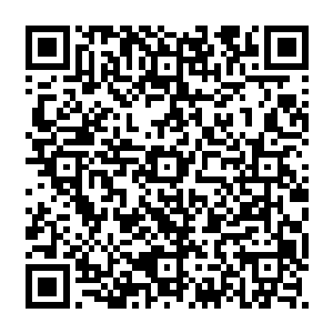 一群群的小鱼苗儿现在也出现了围在母鱼或者是聚集在一起享用着从湖底长出的水草二维码生成