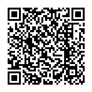 一而再再而三的发动攻击竟然没能将一个元婴期布置的阵法撼动便是耻辱二维码生成