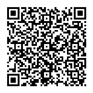 一股令枫可儿和小凤凰都感到压抑的力量和一股可以让灵魂都感到似要被冰冻的气息二维码生成