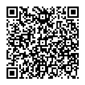 一股完全由这强横无匹的陨神风逐步凝聚而成的恐怖风暴……它挡在了秦方的前方二维码生成