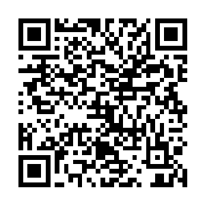 一股恐怖的庞大的自信也直接从龙傲天的身上散发出来二维码生成