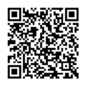 一股浑厚的法力就在海水中化作巨大无比的掌印二维码生成