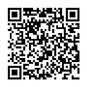 一股股无形的意念波动从精神之海的战灵中散发出来二维码生成