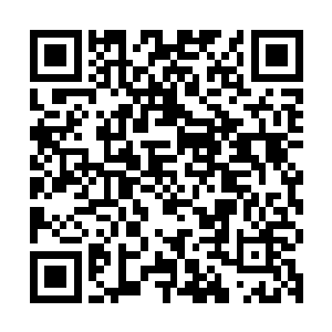 一股股精纯无比的磅礴灵气就仿佛是突然间得到了某种赦令似得二维码生成