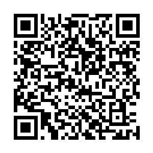 一股股莫名的力量和气息也开始从楚旬的菩提世界之中浮现二维码生成