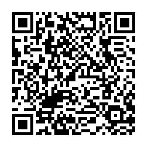一般像小刀这种活在黑暗中的人人们都会下意识地以为他们是孤独的二维码生成