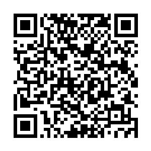 一般新来的外面弟子第一件事就是去任务殿领取任务簿二维码生成