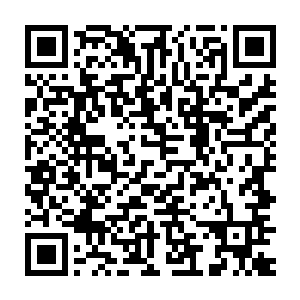 一般的杀手根本不是他的对手……可这一次杀王令惊动了太多杀手了二维码生成