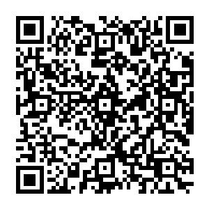 一艘艘大大小小的飞舟小心翼翼的在这个巨大的基地群和要塞组成的奇观的下面停留着二维码生成