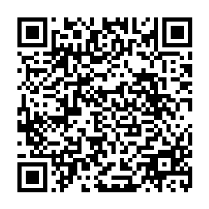 一行人一直到了下午四点多才抵达他们此行的第二个目的地马达加斯加丛林二维码生成