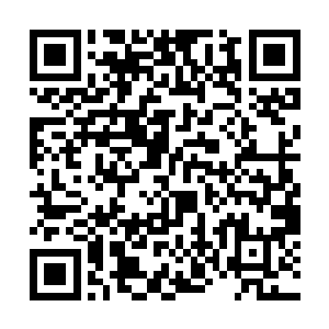 一行行解释和生动的动态图一起出现在了检索结果中二维码生成