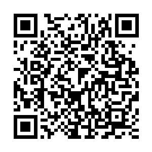 一袭烟灰长发跟倜傥长袍的代离气质可比往昔凝重成熟了不少二维码生成