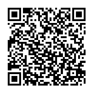 一袭白裙的秦薇薇则在博古架旁背个手欣赏着各城进贡给杨庆的稀奇玩意二维码生成