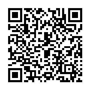 一起去摘别人家还没成熟的果子……不管什么时候都是一起的二维码生成