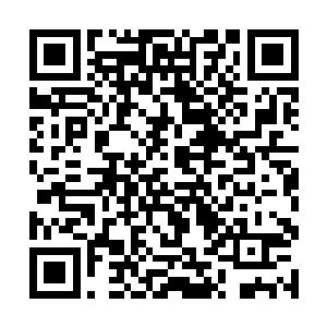 一路上叶璃就听了不少关于定王和赫连惠敏的传言了二维码生成