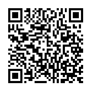 一路上司机撞着胆子给我和张亮讲述了一个光宇文昌街的传闻二维码生成