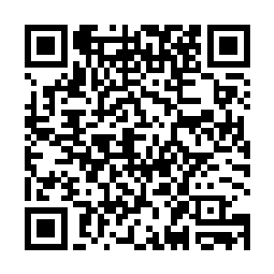 一路上撞碎了无数的树枝草叶以及凸起在地面上的石头二维码生成