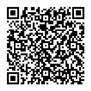 一路上澹台璃都在苦皱了脸色说他怕黑怕路上遇到色魔他不愿意这么晚了独自回去投宿地方二维码生成