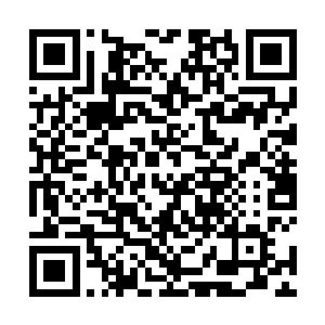 一路上跟他读书识字认得许多字的小乞儿轻轻抬头念道二维码生成