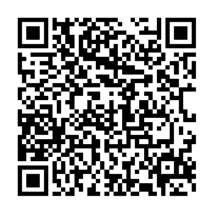 一路上那些先前在背后嚼舌根子的以及刻意不去寝殿服侍的一众侍女们二维码生成