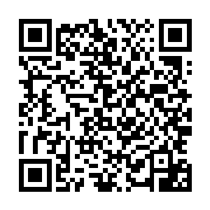 一路留下无数道淡淡的残影瞬间出现在地龙那巨大的后背上二维码生成