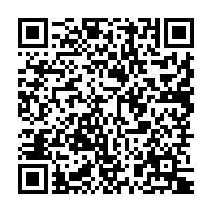一路被人敬畏过去的代离百无聊赖得看着那伫立在斗场中央的九根龙柱二维码生成