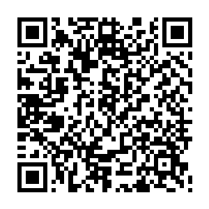 一路袭杀而来的两位墨族伪王主原本见众多战舰载着人族武者脱离驱墨舰二维码生成